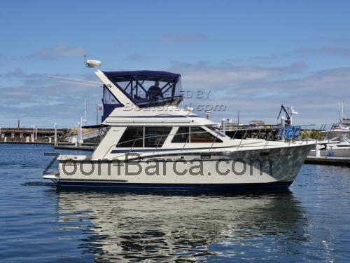 Tollycraft 34 scheda tecnica e recensioni